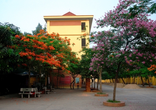 Thông báo tuyển sinh trực tuyến vào lớp 6 năm học 2021 - 2022